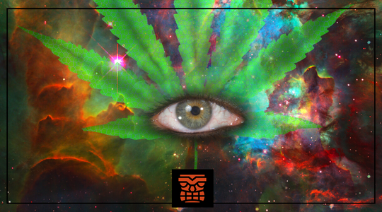 Surviving 420: Headshop’s Measured Advice for Fun Times