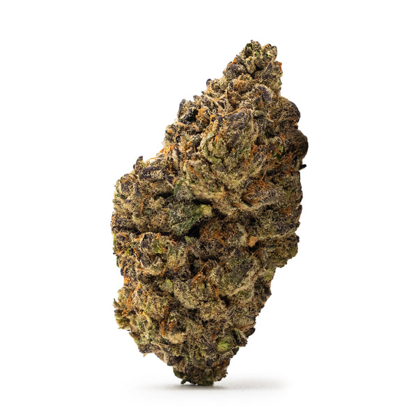 Blue Nerdz Blue Nerdz