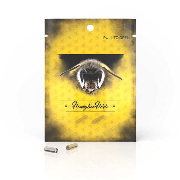 Honeybee Herb Honey Terp Pearls Honeybee Herb Honey Terp Pearls