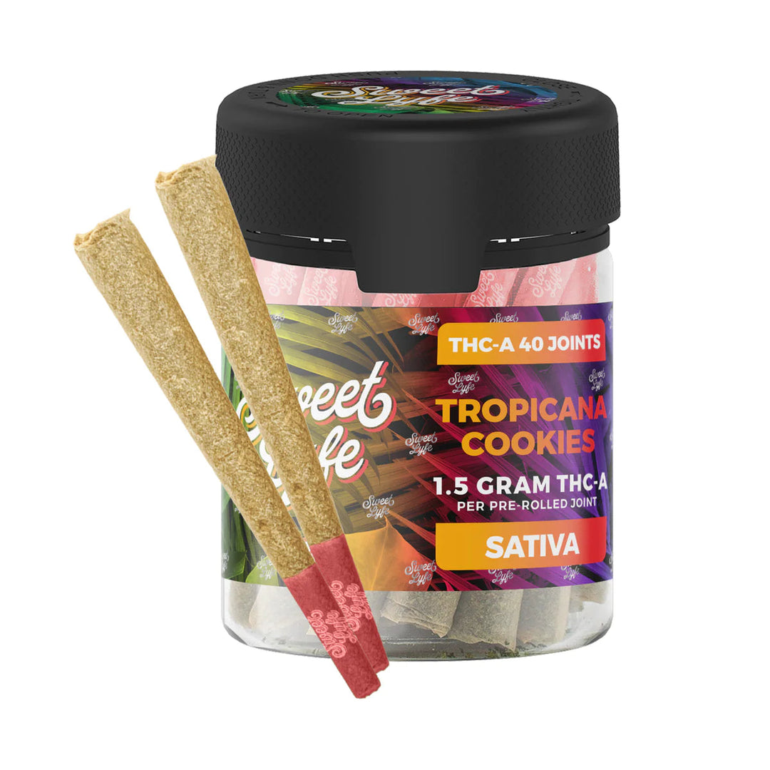THC-A Joints 40 Pack - Tropicana Cookies (Sativa) - Headshop.com