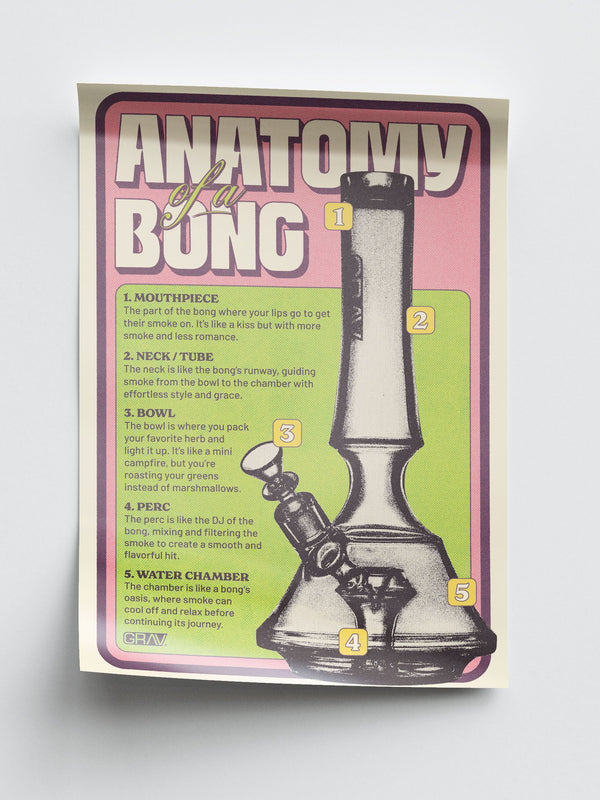 GRAV® Anatomy of a Bong Poster, 16 x 24" GRAV® Anatomy of a Bong Poster, 16 x 24"