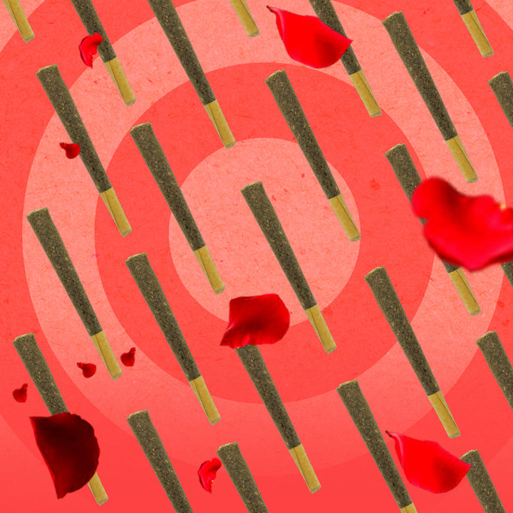 NUUD NUUDIES Pre-Rolled Sex Joints Single Rose Petal 12-Piece Display - Headshop.com