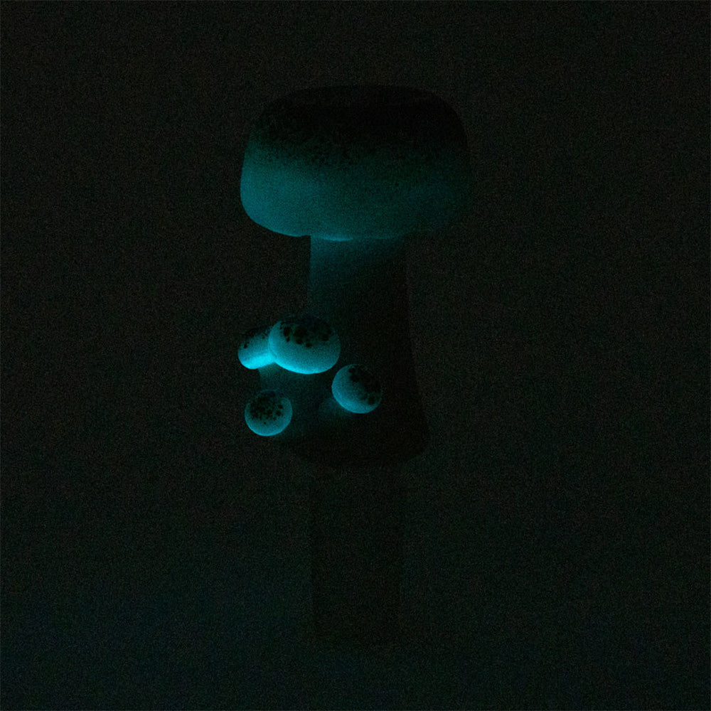 Empire Glass Works Mushroom Bowl - Headshop.com