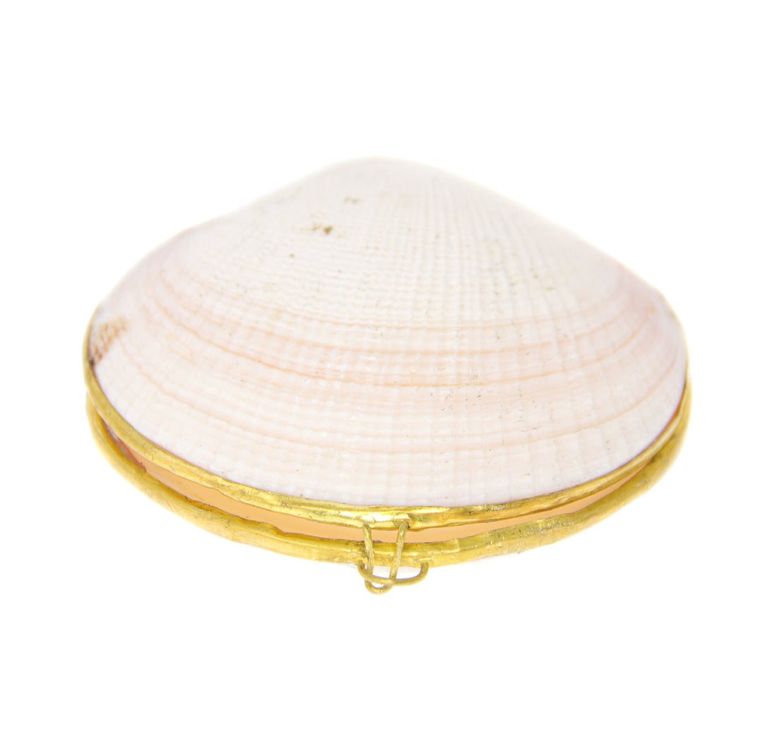 White Stash Shell - Headshop.com
