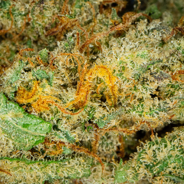 Silver Haze Silver Haze