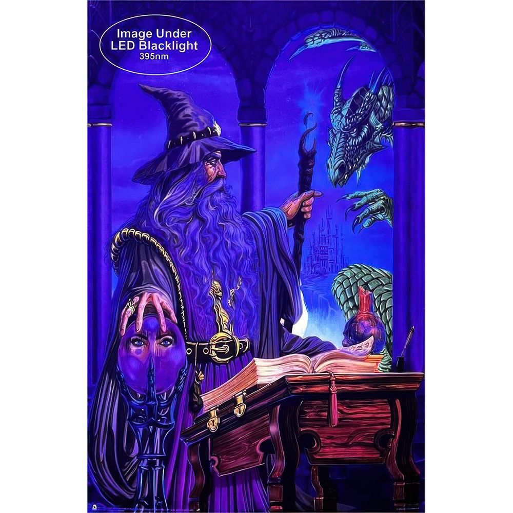 Wizard Emissary by Ed Beard Non-Flocked Black Light Poster - 24"x36" - Headshop.com