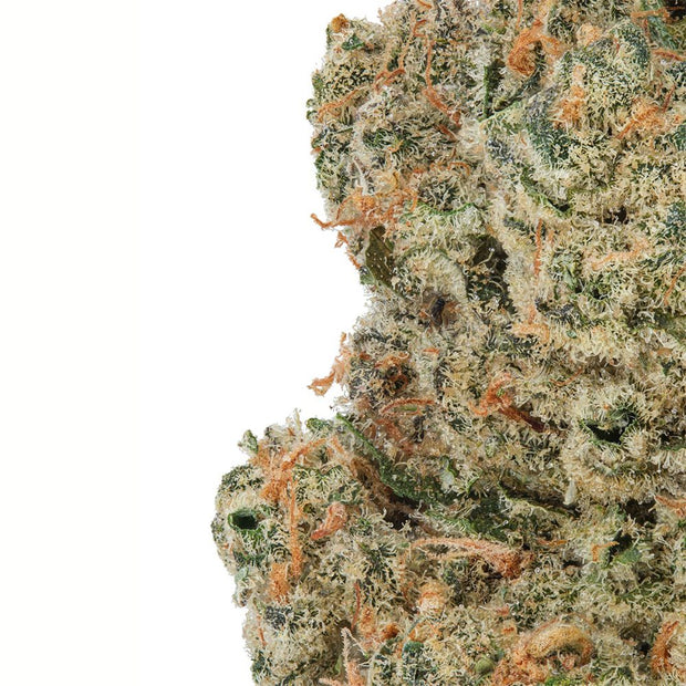 WNC CBD High THCA Indoor Living Soil Flower | 3.5g - Headshop.com