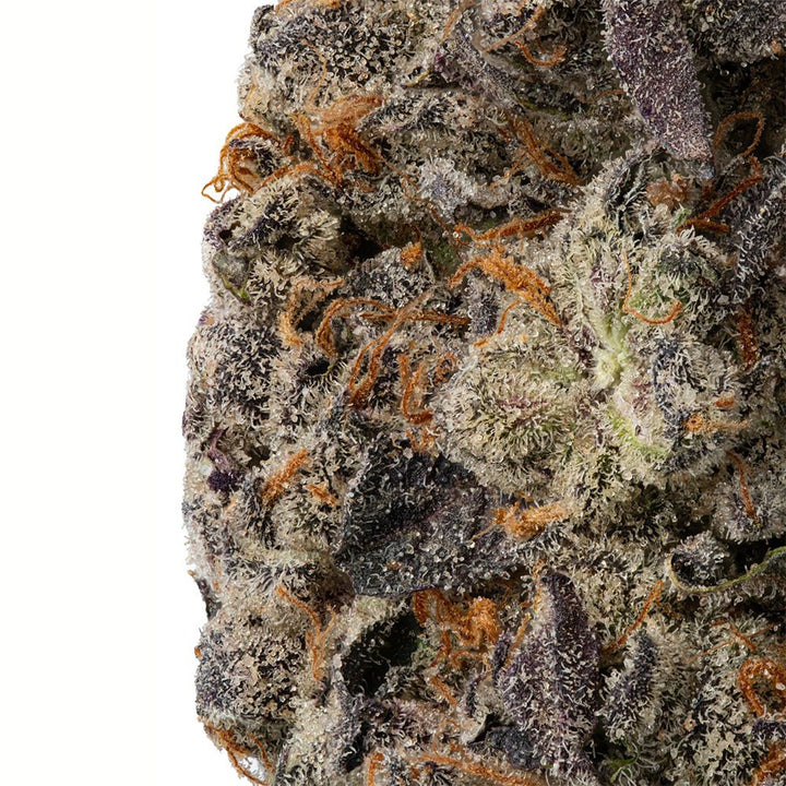 WNC CBD High THCA Indoor Living Soil Flower | 3.5g - Headshop.com