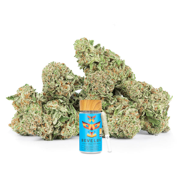 Revelry Passion Fruit Punch THCA Pre Rolls 7 Pack Revelry Passion Fruit Punch THCA Pre Rolls 7 Pack