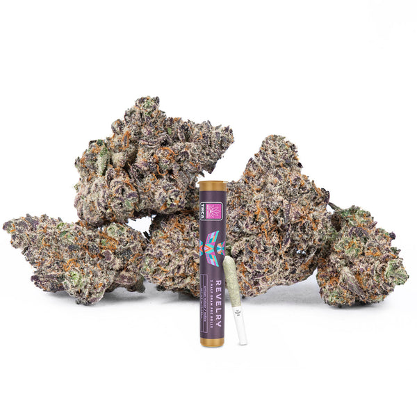Revelry Devil's Gelato THCA Pre Rolls 2 Pack Revelry Devil's Gelato THCA Pre Rolls 2 Pack