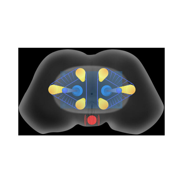 Mistress Vibrating & Squeezing Pussy & Ass Masturbator Medium - Headshop.com