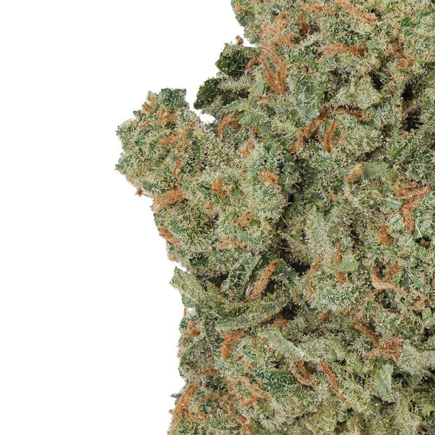 WNC CBD High THCA Indoor Living Soil Flower | 3.5g - Headshop.com