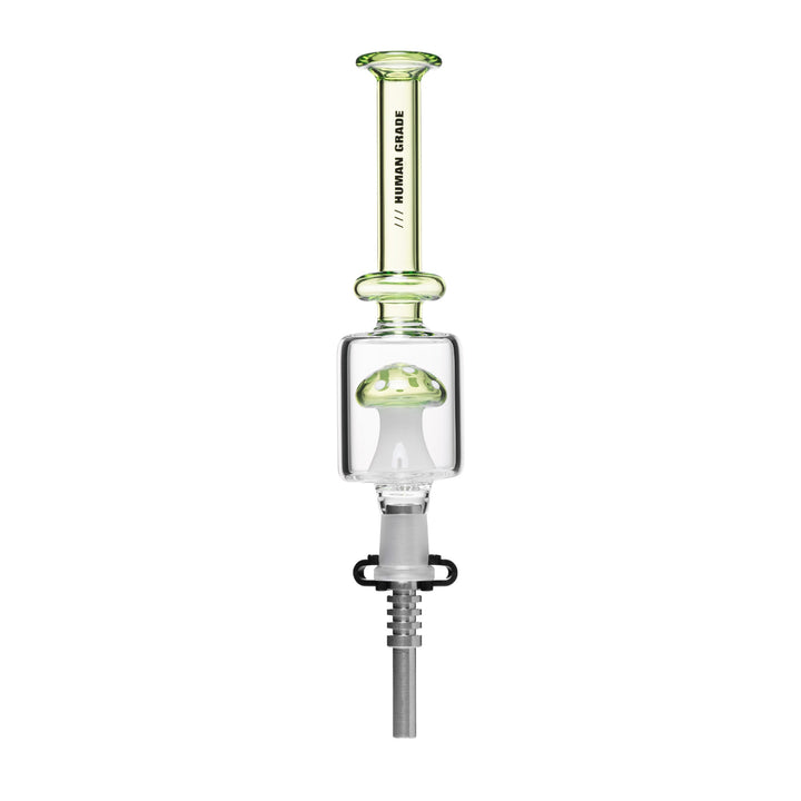 Human Grade Shroom Nectar Collector - Headshop.com