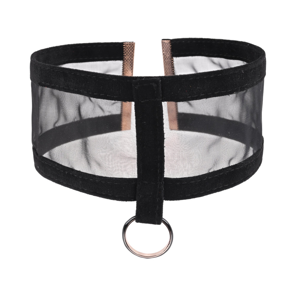 Sportsheets Sex & Mischief Sheer Day Collar - Headshop.com