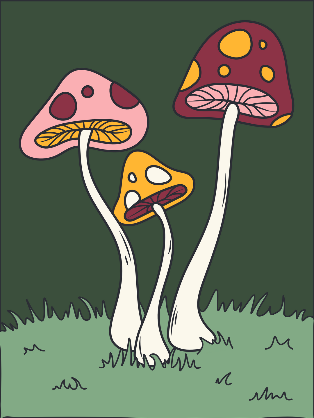 Dime Bags Velcro Label - SHROOMS - Headshop.com