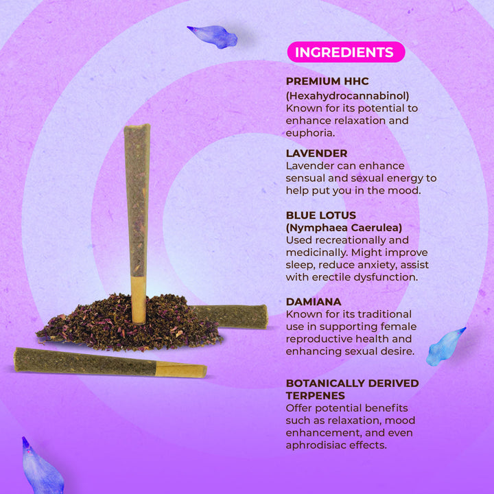 NUUD NUUDIES Pre-Rolled Sex Joints Single Lavender Cosmo 12-Piece Display - Headshop.com