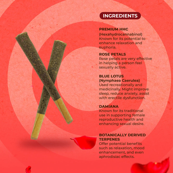 NUUD NUUDIES Pre-Rolled Sex Joints Single Rose Petal 12-Piece Display - Headshop.com