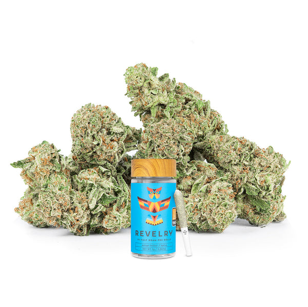 Revelry Passion Fruit Punch THCA Pre Rolls 14 Pack Revelry Passion Fruit Punch THCA Pre Rolls 14 Pack