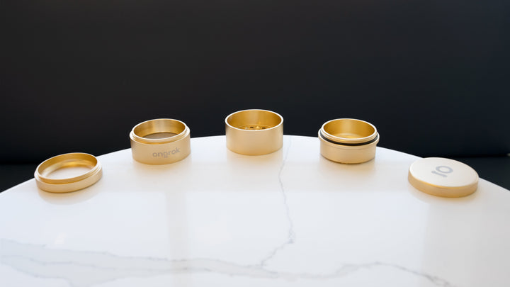 Ongrok 5 Piece Storage Grinder - Headshop.com