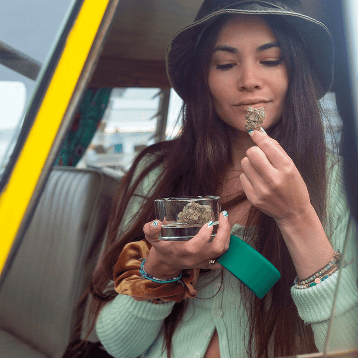 Smoke Honest Travel Glass Ashtray - Headshop.com