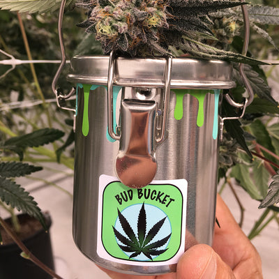 The Bud Bucket, Cannabis Storage Solution ~ Stainless Steel Vault, Odor Proof, Air Tight ,UV Blocking, Sifter Canister - Headshop.com
