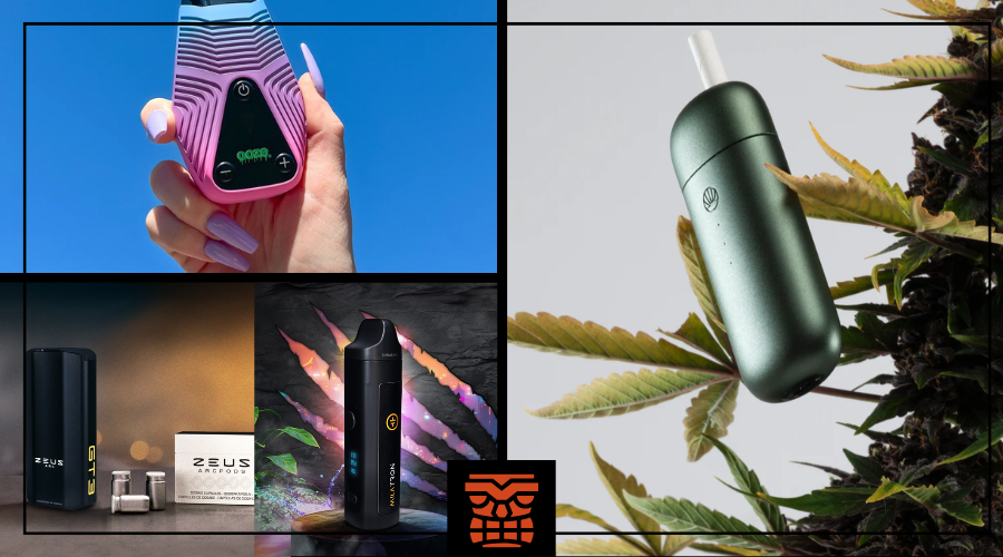 Best Dry Herb Vaporizer 2024