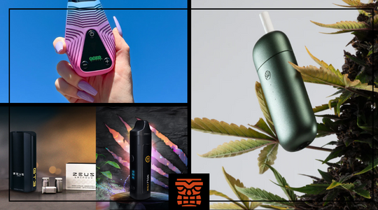 Best Dry Herb Vaporizer 2024