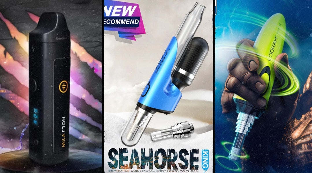 Best Dry Herb Vaporizers