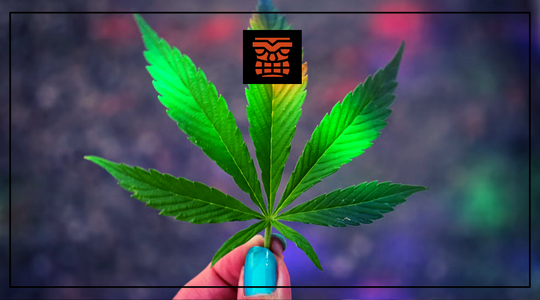 7 Ways to Lower Your Tolerance