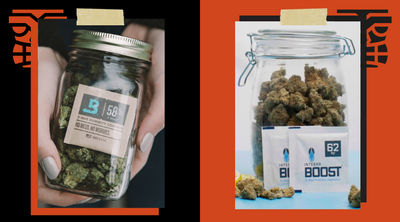 How to Keep Your Cannabis Fresh For Longer With Boveda and Integra