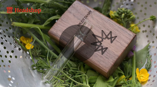 [Video] The Best Wood Dugout With Glass One Hitter