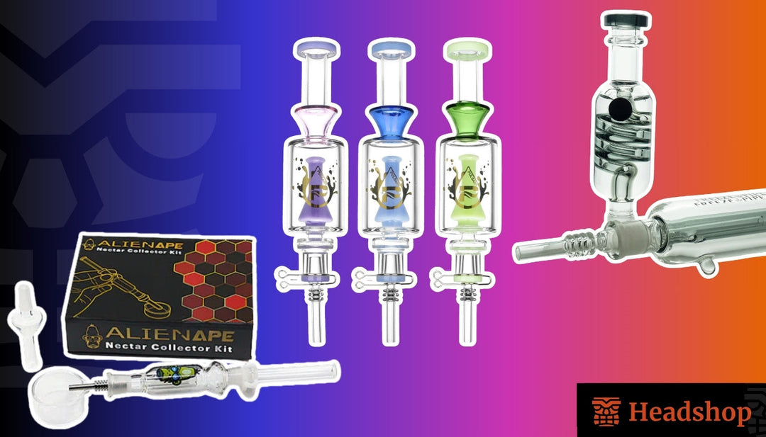 The 8 Best Nectar Collectors: The Top-Reviewed of 2022