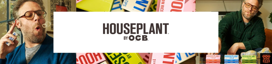 Houseplant