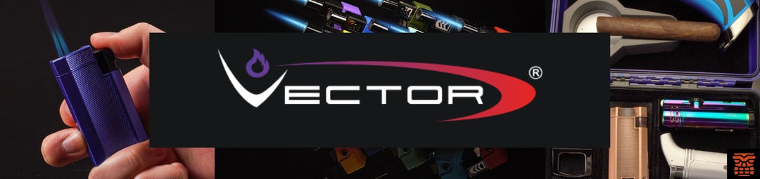 Vector