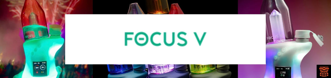 Focus V