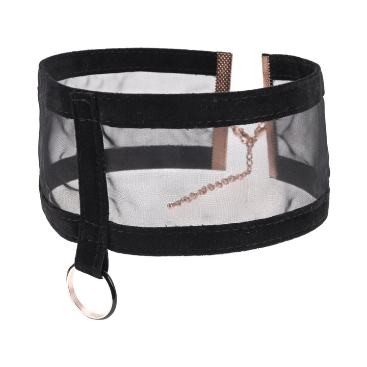 Sportsheets Sex & Mischief Sheer Day Collar - Headshop.com