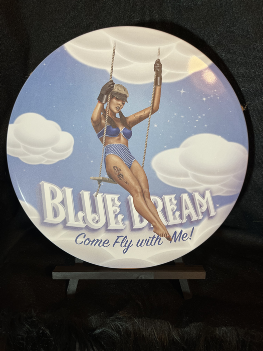 Blue Dream Pinup 30 cm x 30 cm Round Aluminum Sign - Headshop.com