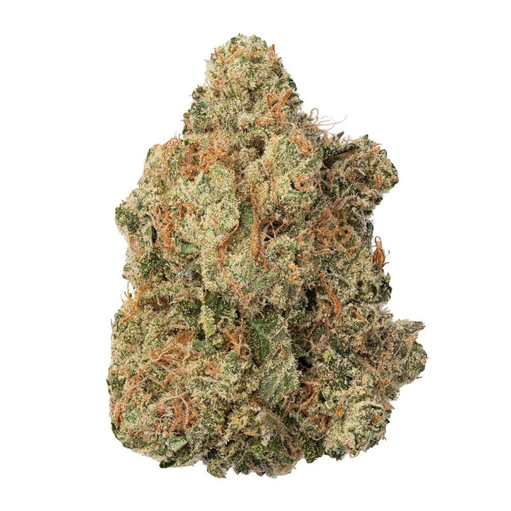 WNC High THCA Indoor Living Soil Flower | 3.5g