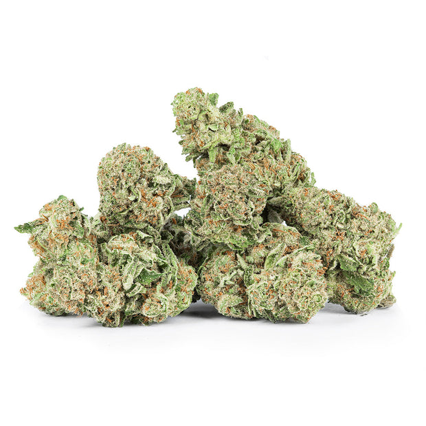 Revelry Passion Fruit Punch THCA Pre Rolls 2 Pack