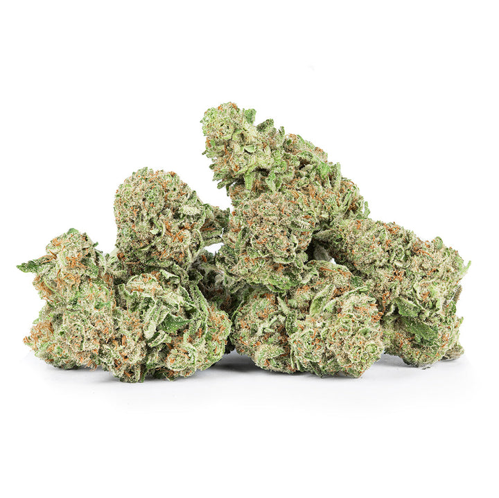 Revelry Passion Fruit Punch THCA Pre Rolls 2 Pack