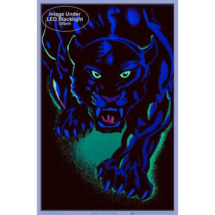 King of the Night Flocked Blacklight Poster - 23"x 35" - Headshop.com