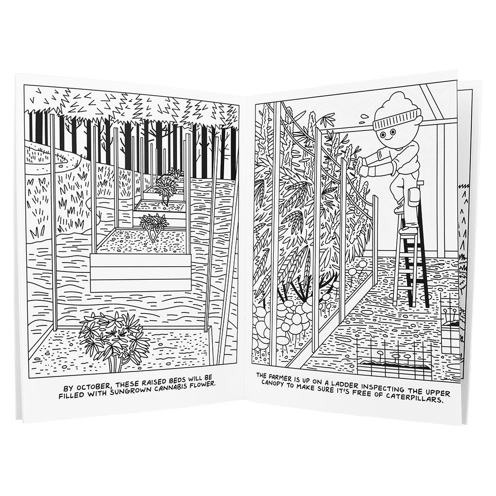 Wood Rocket A Visit To The Hemp Farm Adult Coloring Book - 8.5"x11" - Headshop.com