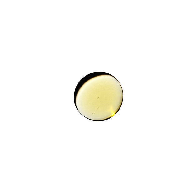 Dame Sex Oil Massage Oil 2 oz. - Headshop.com