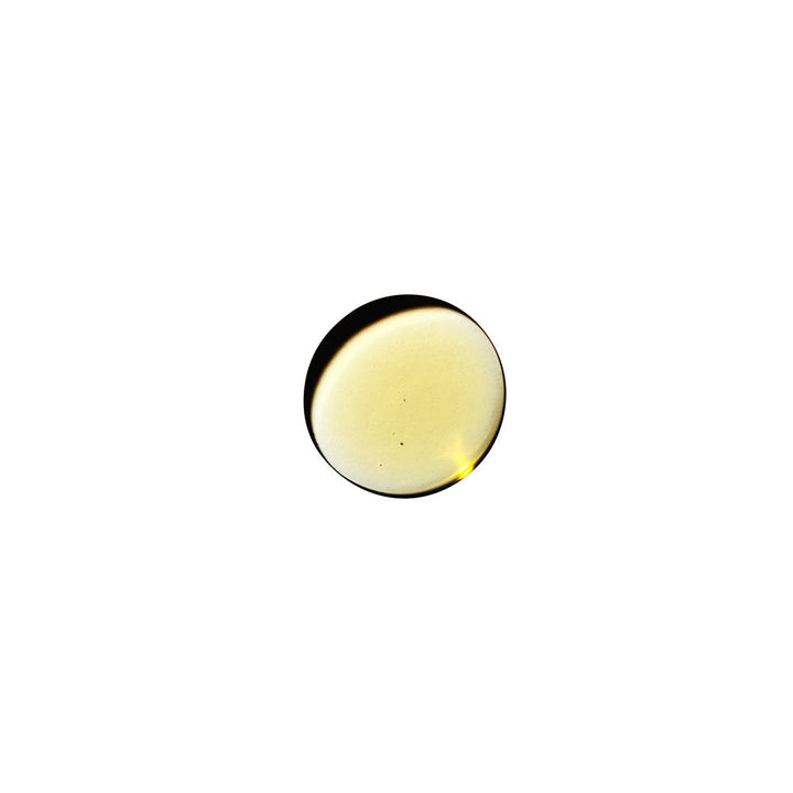 Dame Sex Oil Massage Oil 2 oz. - Headshop.com