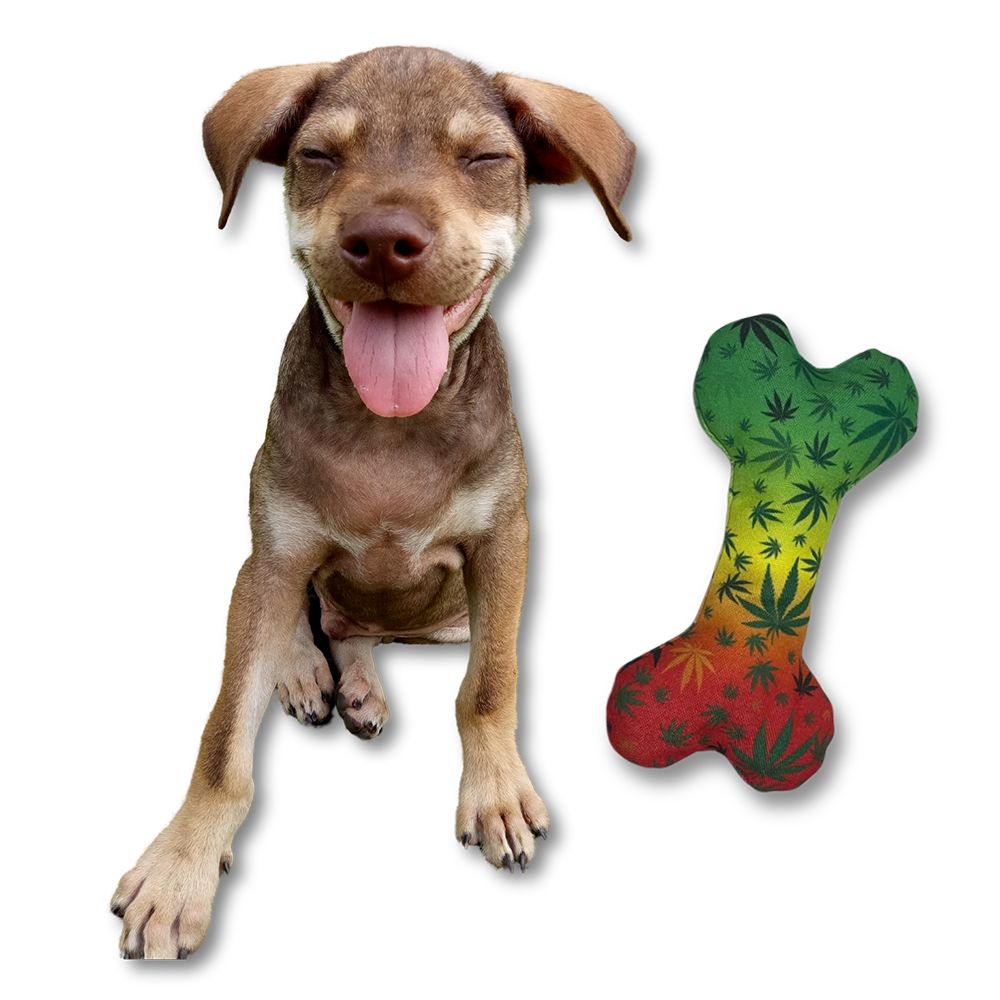 PAW:20 Stoned to the Bone Squeaker Dog Toy - 8" - Headshop.com