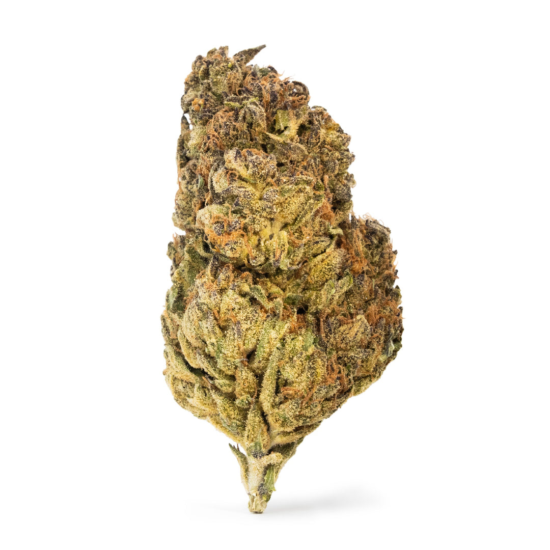 Tangie - Headshop.com
