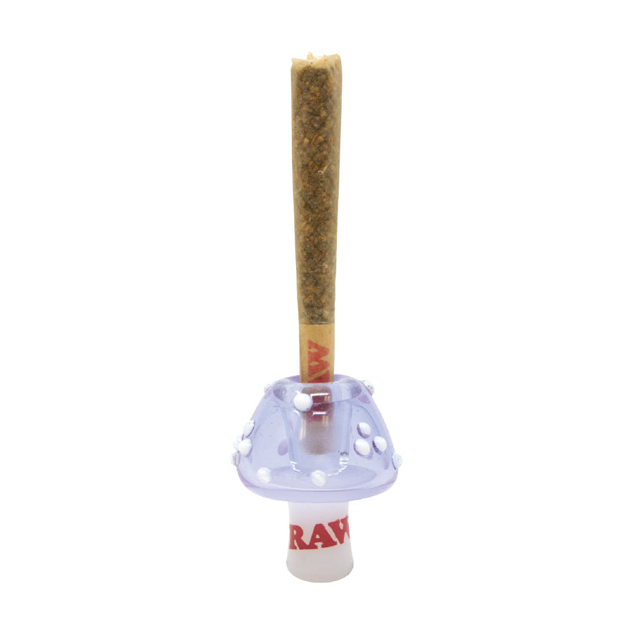 RAW Glass Cone Holders - Headshop.com