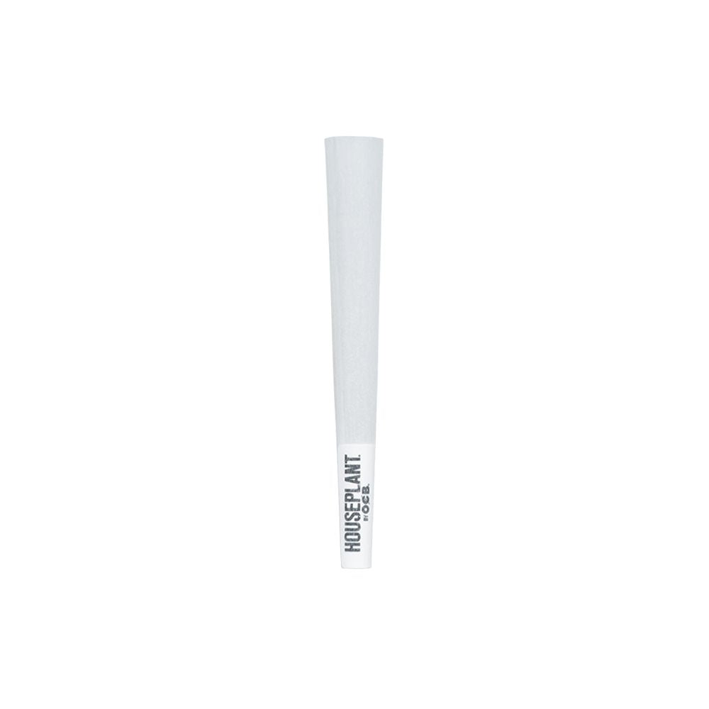 32CT DISPLAY - Houseplant by OCB Cones - Classic / 8pc / Mini - Headshop.com