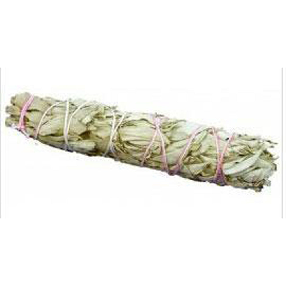 9" Large White Sage Bundle - Headshop.com