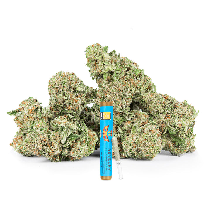 Revelry Passion Fruit Punch THCA Pre Rolls 2 Pack